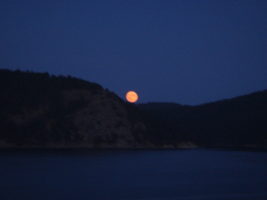 Lopez fog and moon.jpg (7)