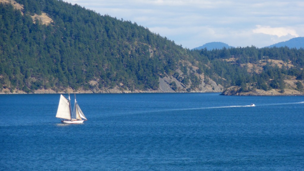 sail boat view.